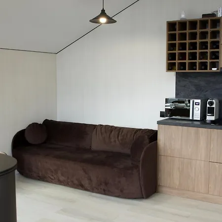 Petrick House Apartment Verkhovyna