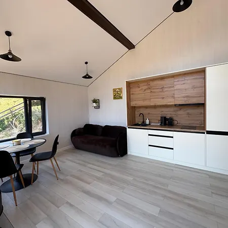 Petrick House ורחובינה