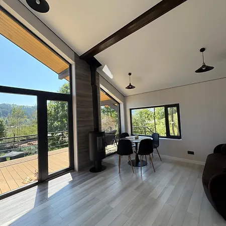 Petrick House * Verchovyna