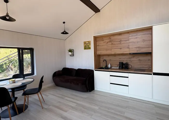 Petrick House Verchovyna